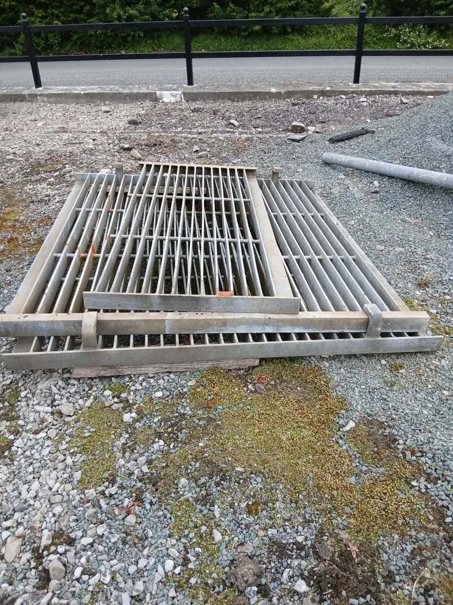 Grid - Image 4
