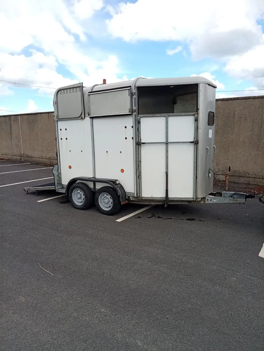 Ifor Williams horse - Image 2