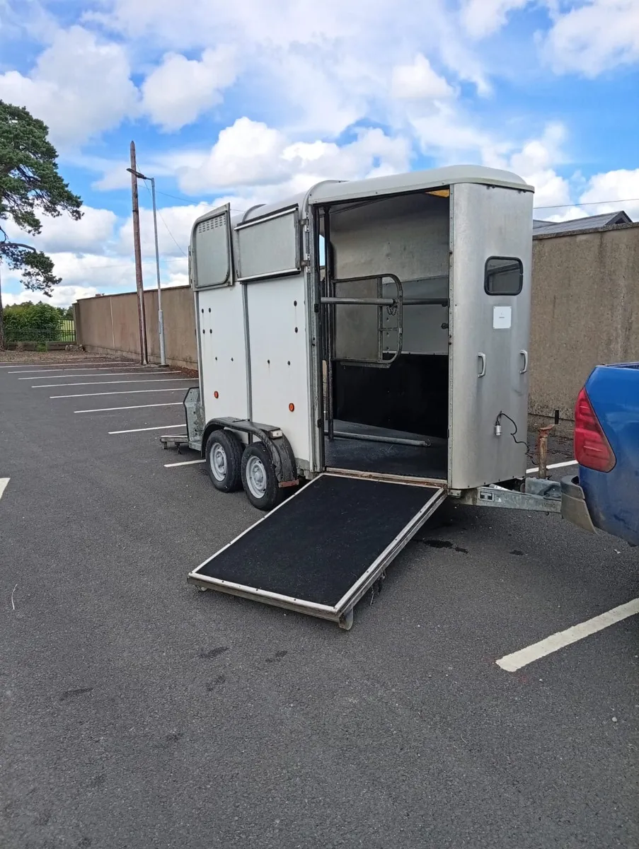 Ifor Williams horse - Image 3