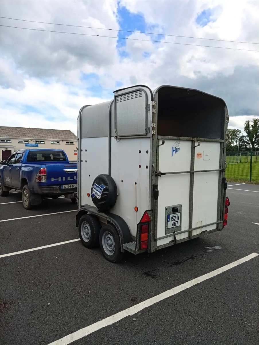 Ifor Williams horse - Image 4