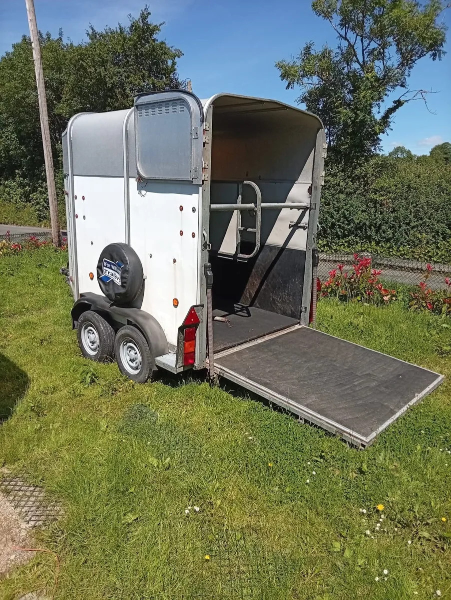 Ifor Williams horse - Image 1