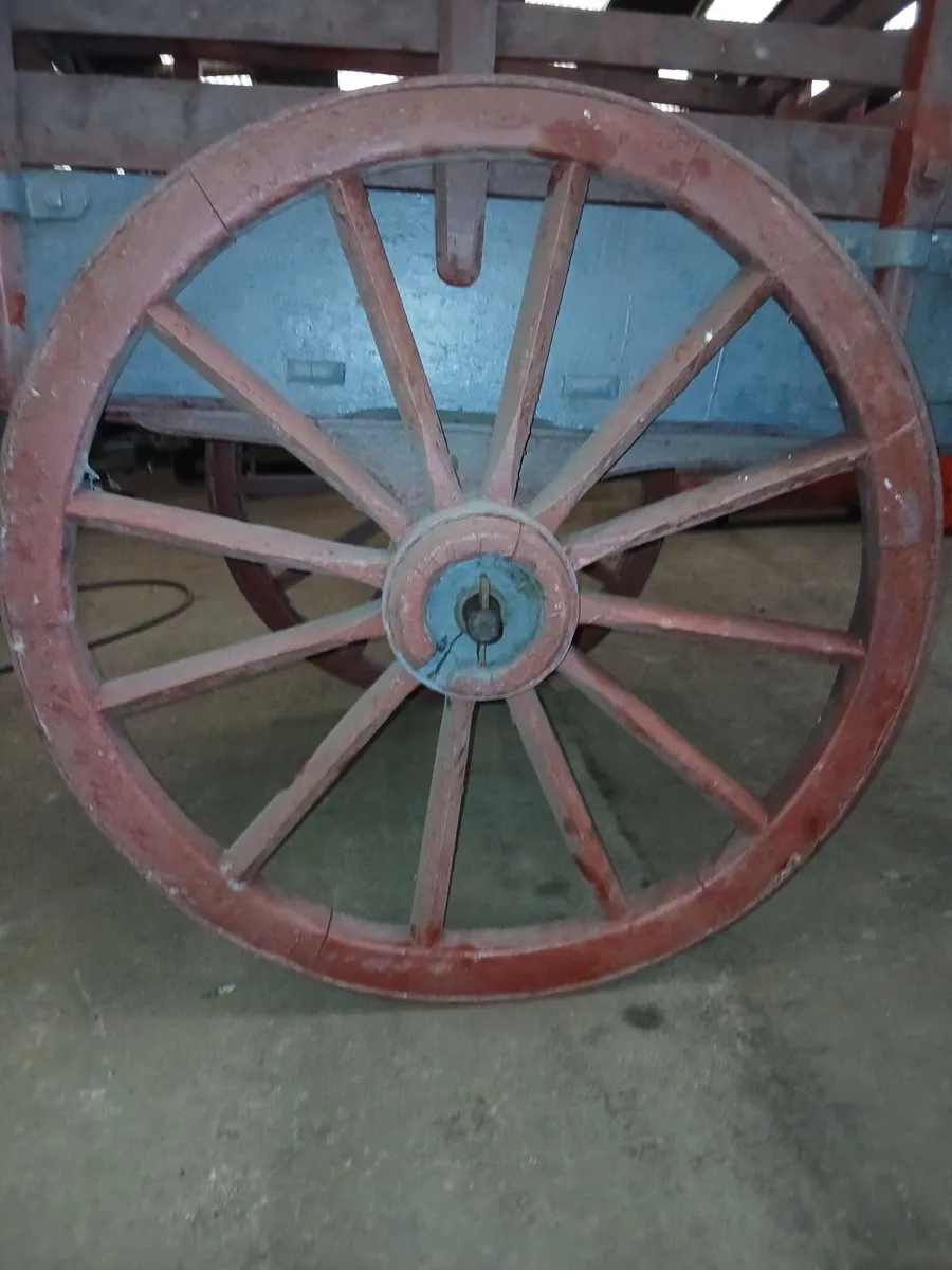 Vintage donkey cart - Image 2