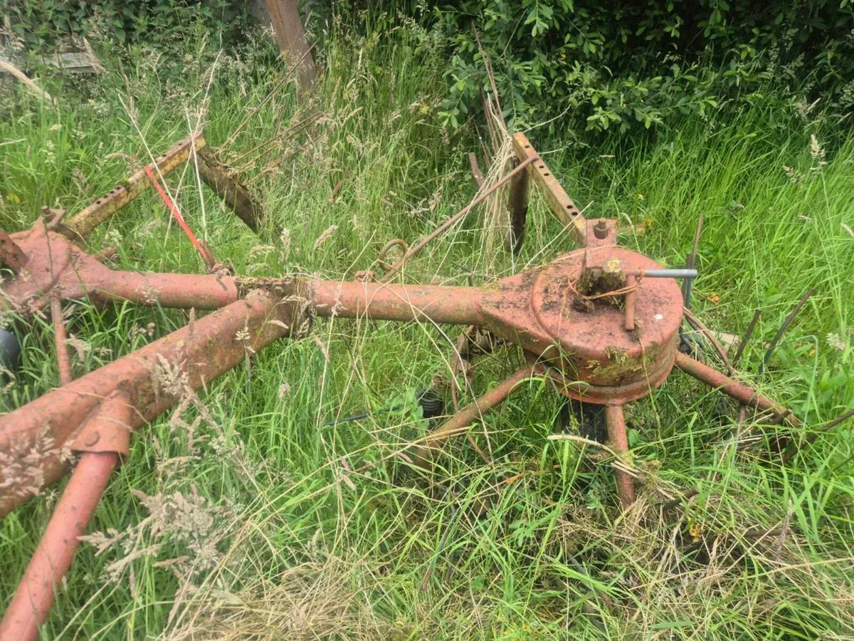 Hay bob - Image 1