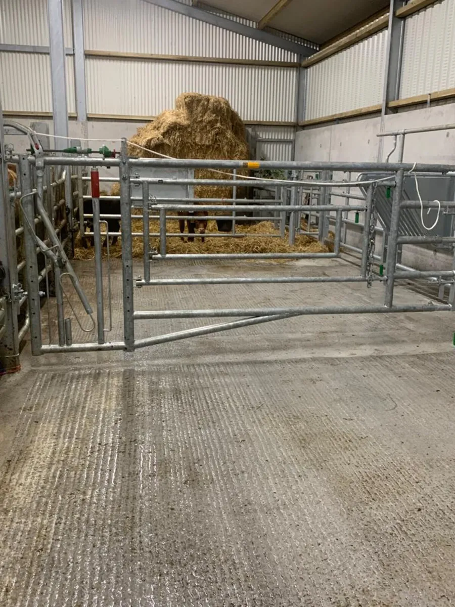 Jourdain 3-in-1 Calving Gate - Image 4
