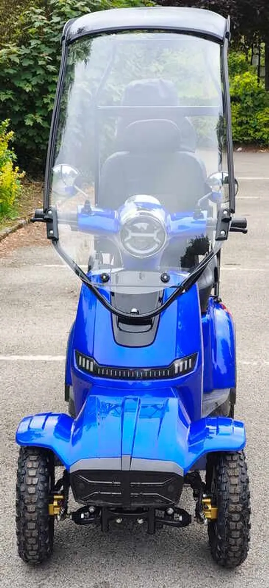 Golf Buggy - Image 2