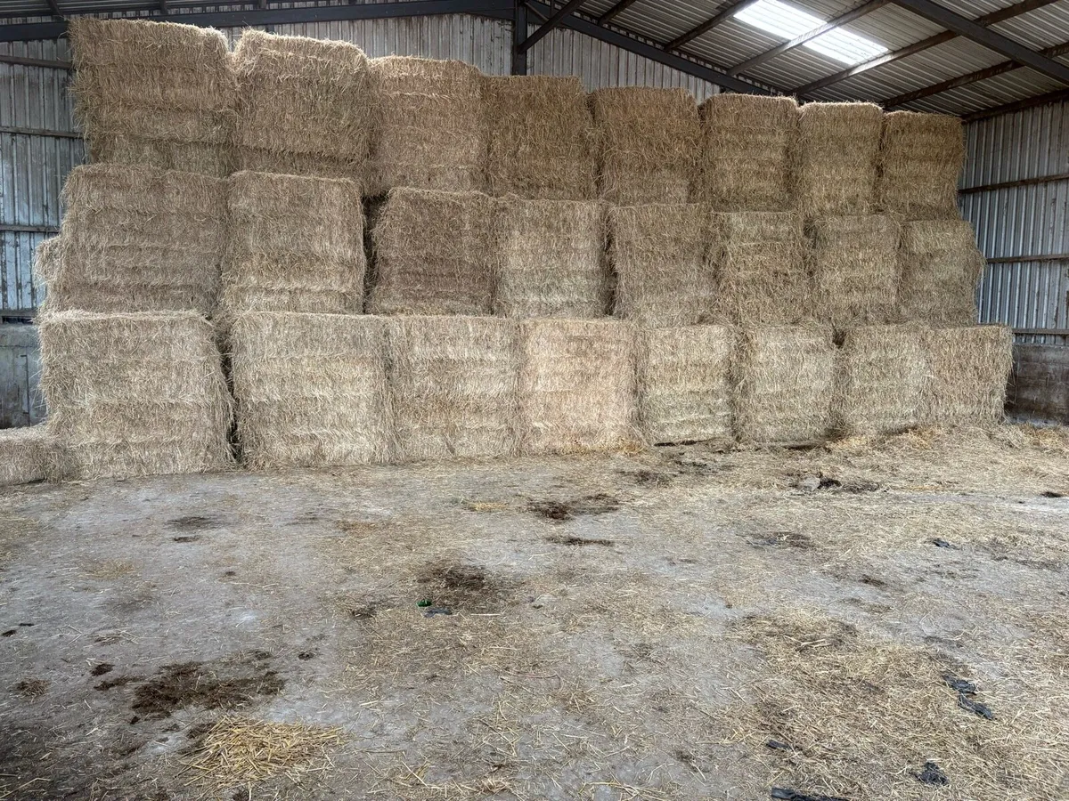 Hay need gone by Wednesday!!! - Image 1