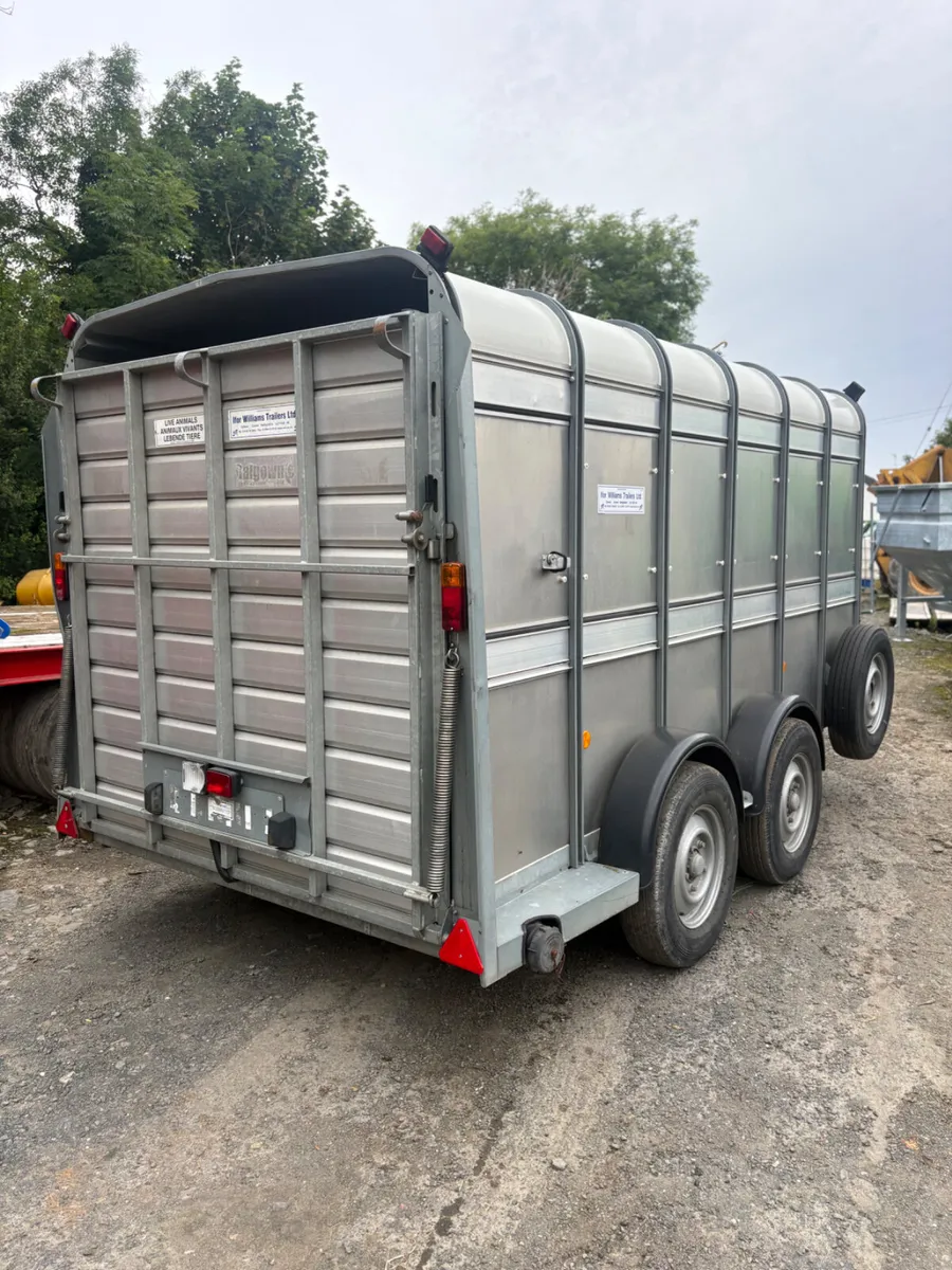 Ifor Williams 12x6 cattle trailer - Image 2