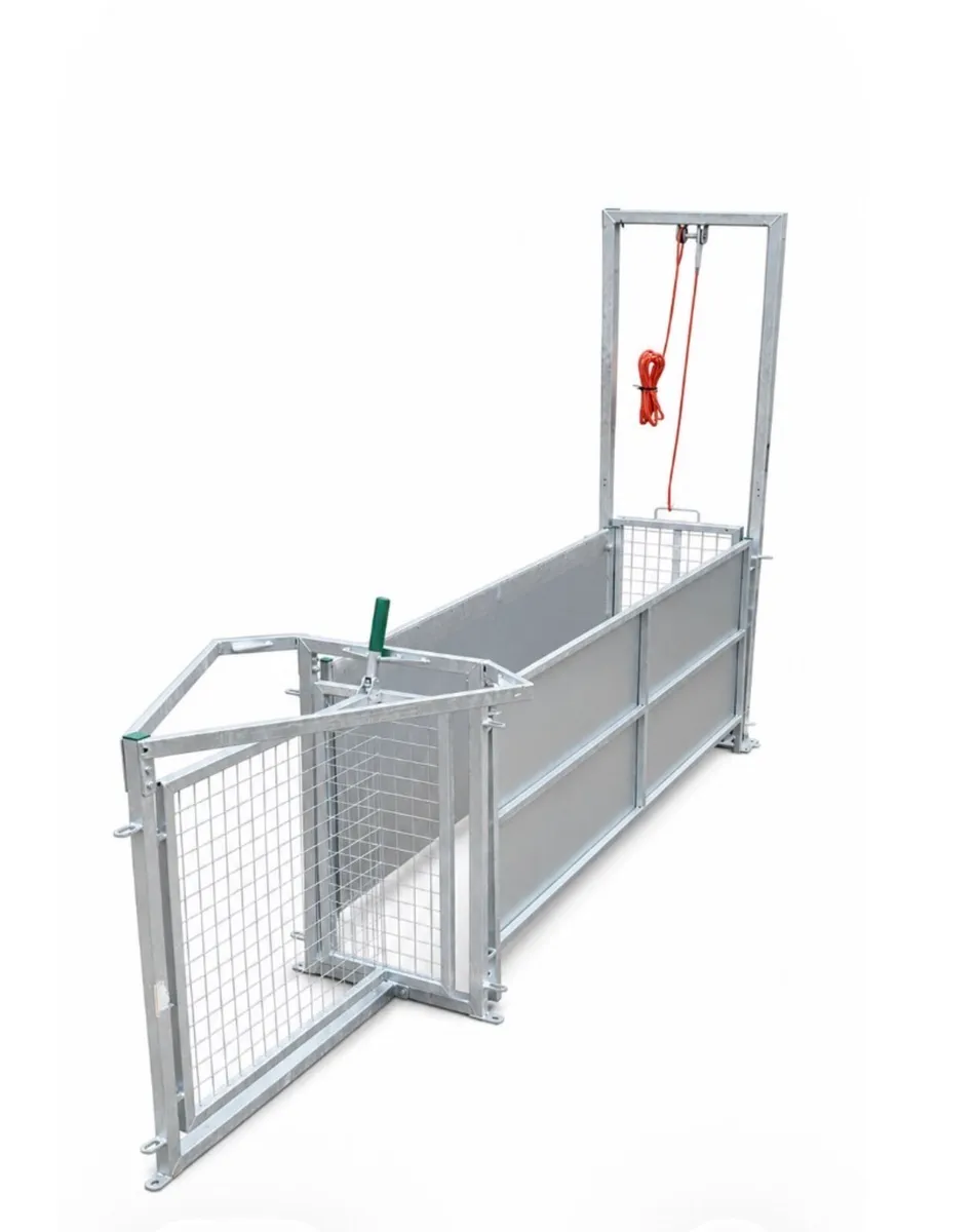 Heavy Duty 8ft Sheep Race Tams Approved - Image 2