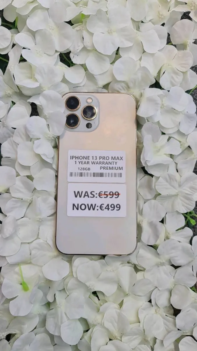 IPHONE 13 PRO MAX