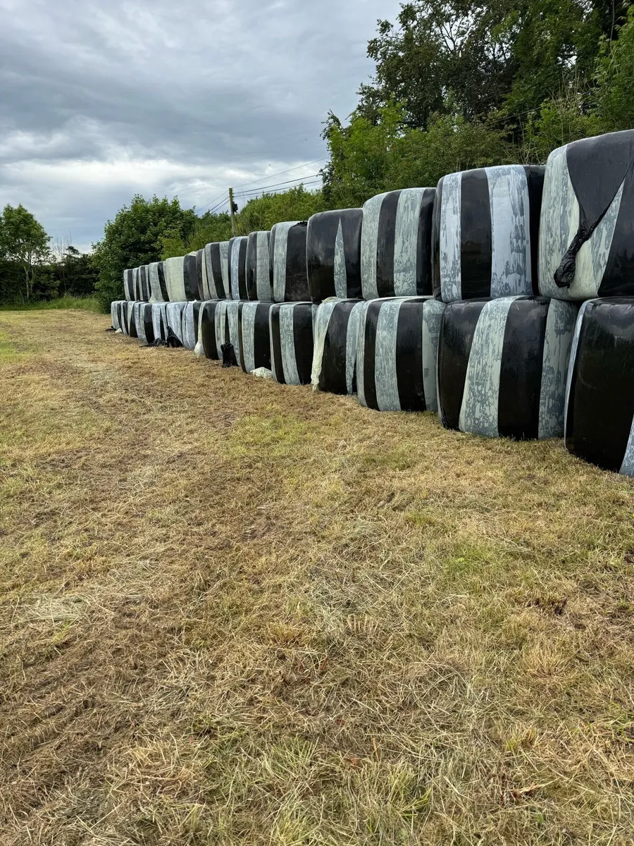 60 bales of silage