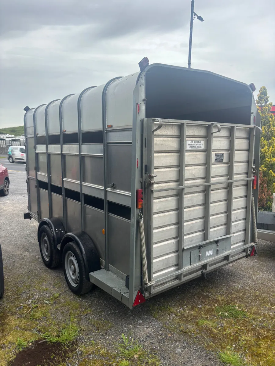 ifor williams ta510 12ft highroof - Image 3