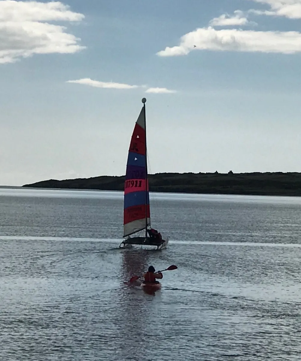 2005 Hobie 16 Catamaran (2005 Hobie Le Race) - Image 1