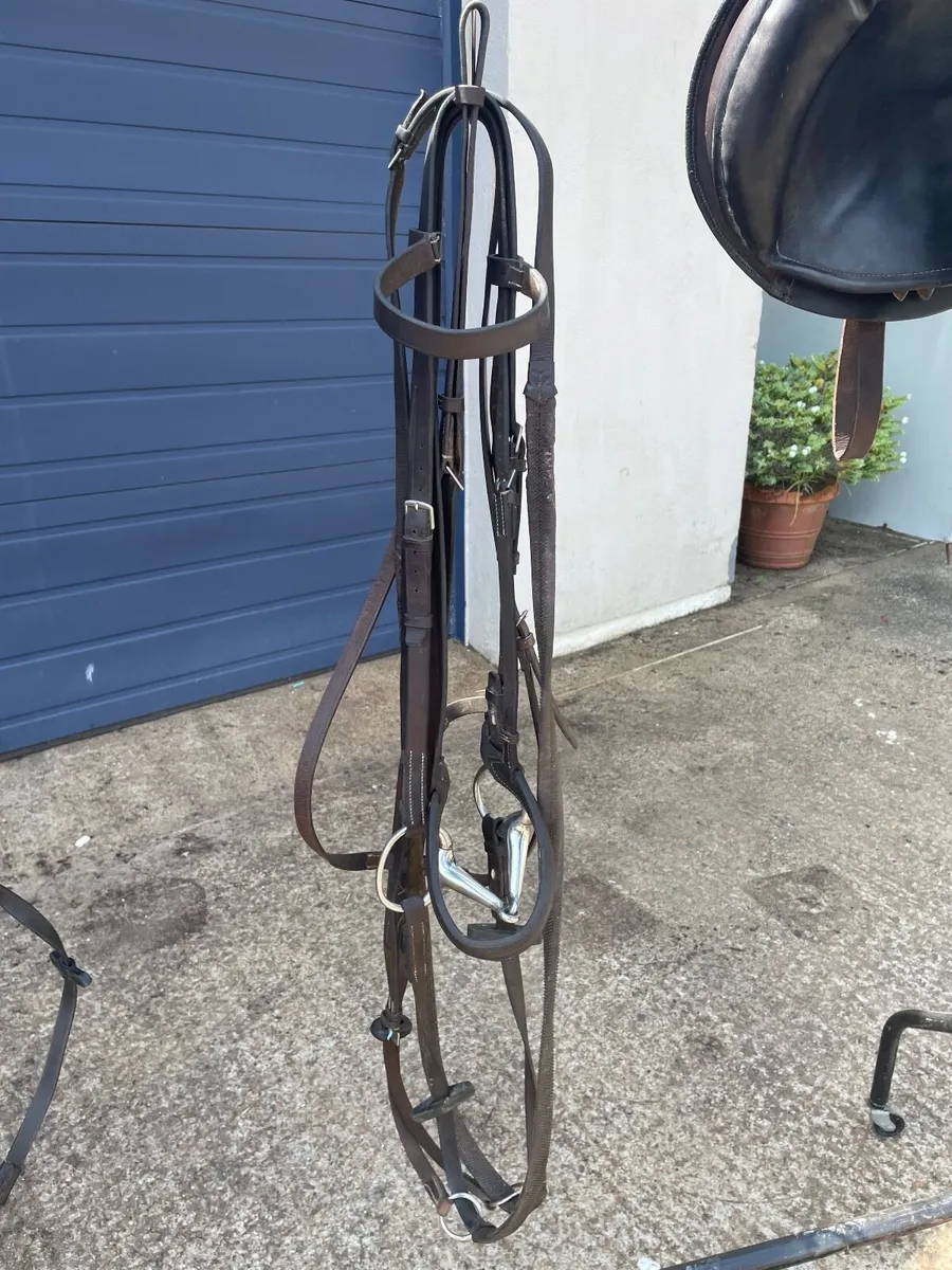 Berney Horse Saddle and Bridle - Image 3