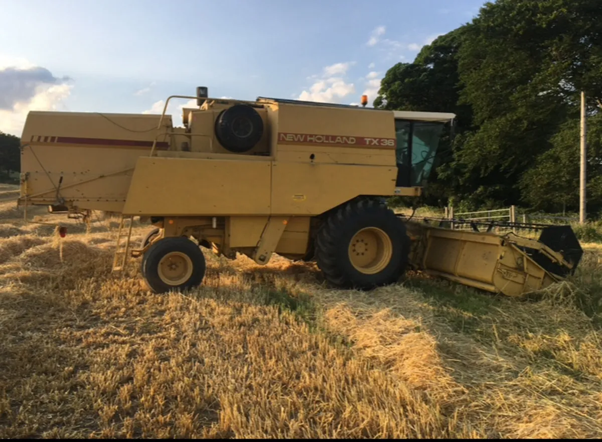 New Holland TX 36 - Image 2