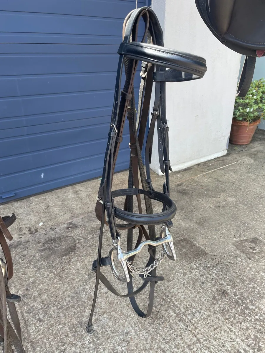Berney Horse Saddle & Bridle - Image 4