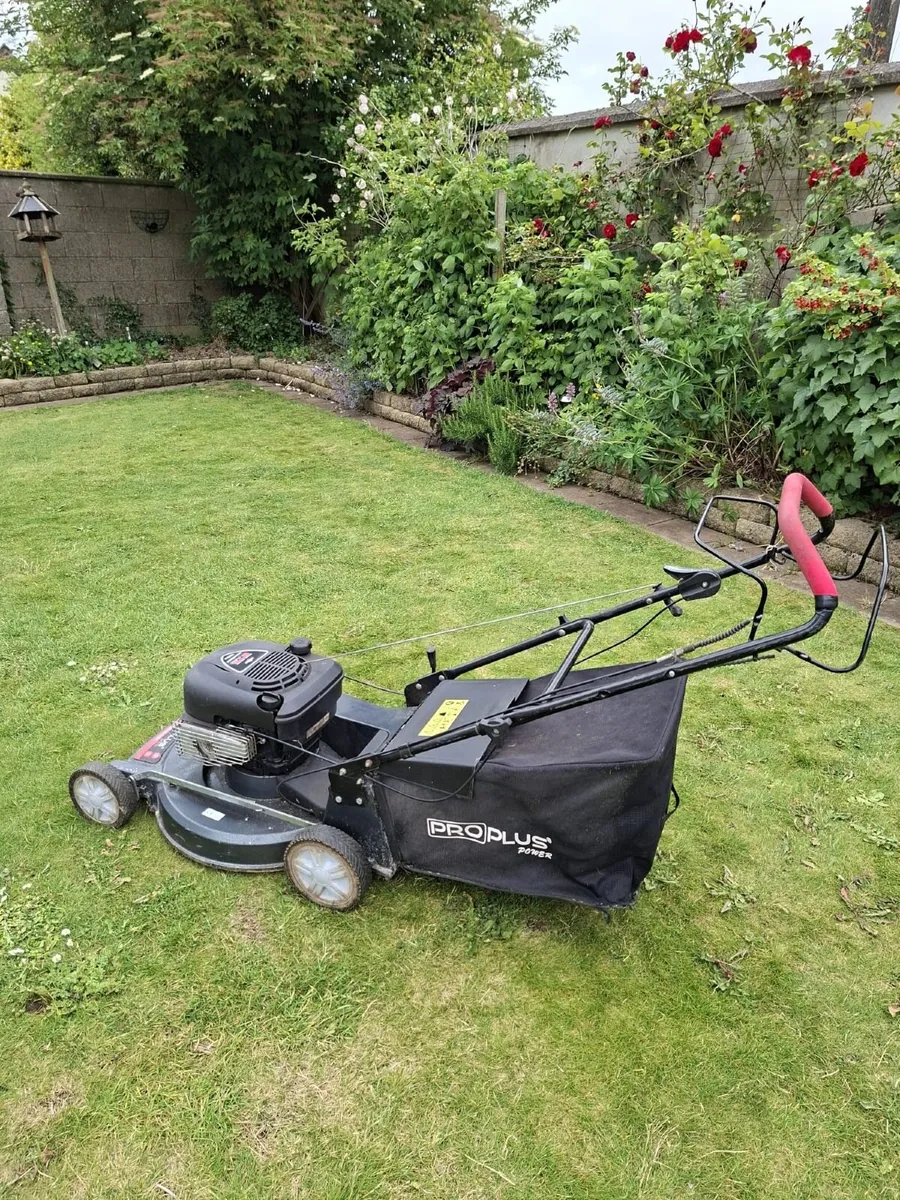 Petrol Lawnmower - Image 3