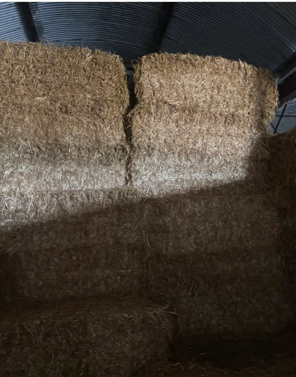 Straw