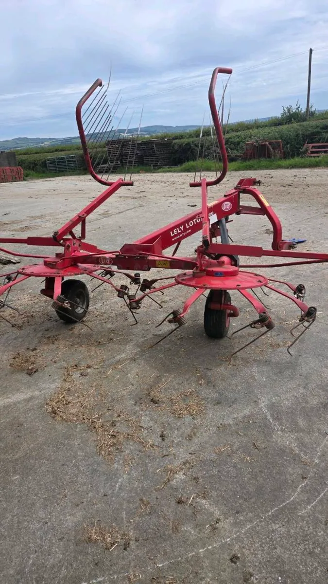 Hay tedder - Image 1
