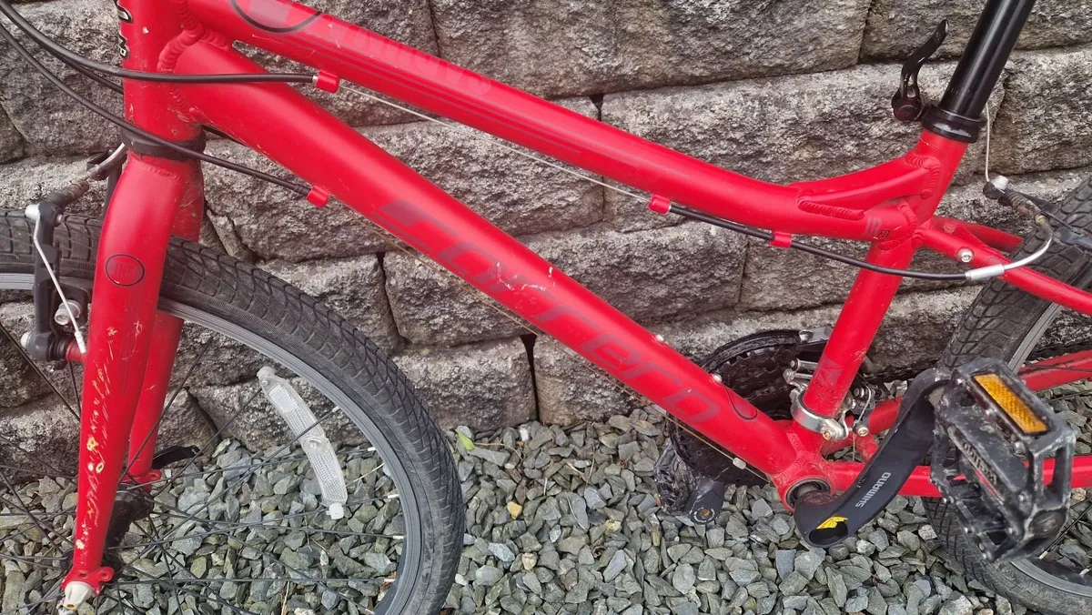 Kids Carerra 24"  bicycle - Image 3
