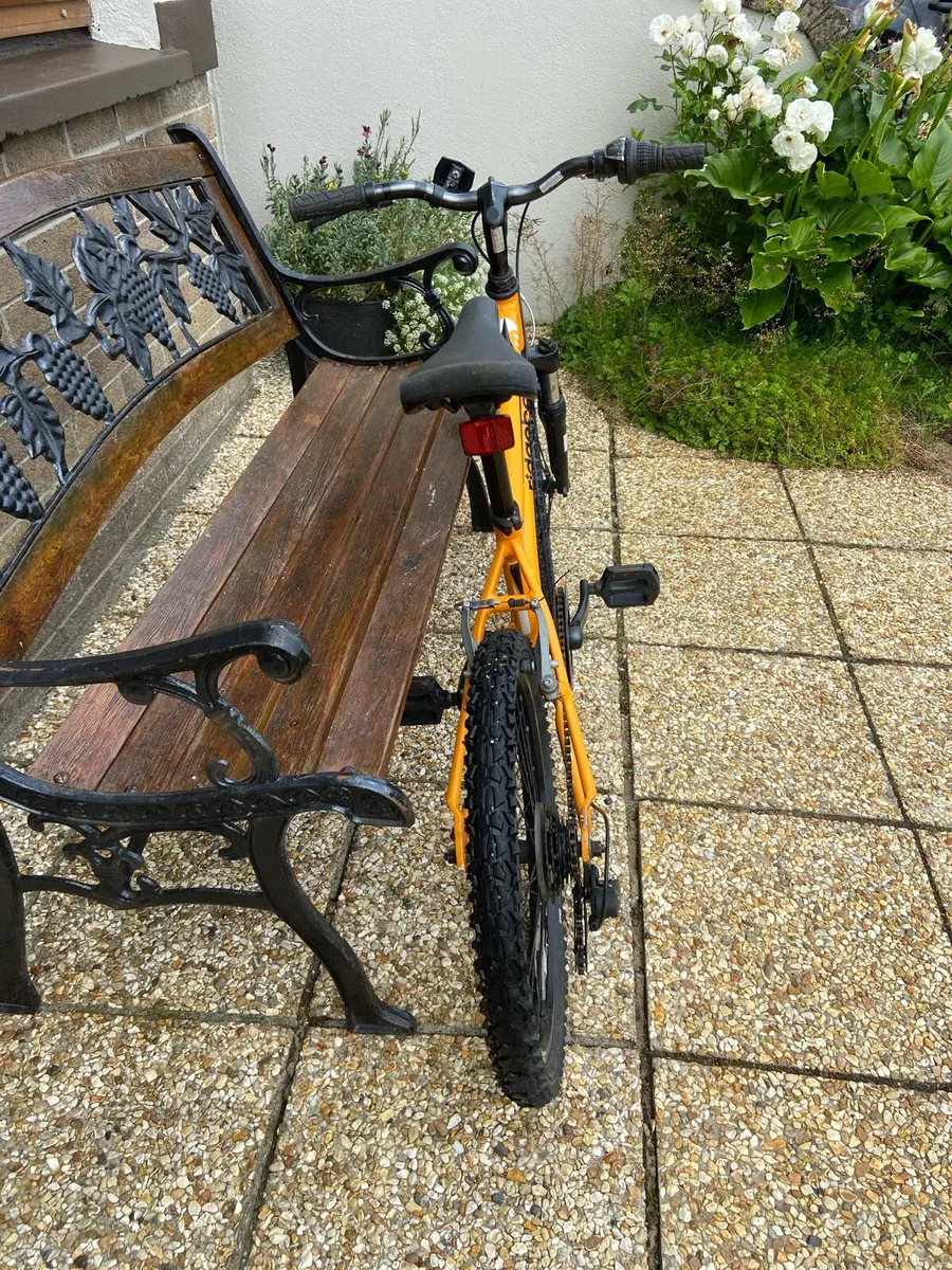 20 inch.  Ridgeback. Mountain bike - Image 3
