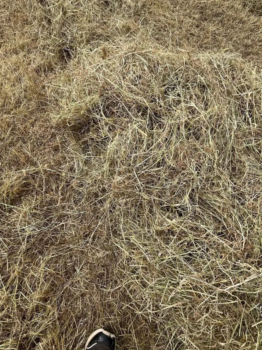 Organic Hay & Organic Rushes for bedding