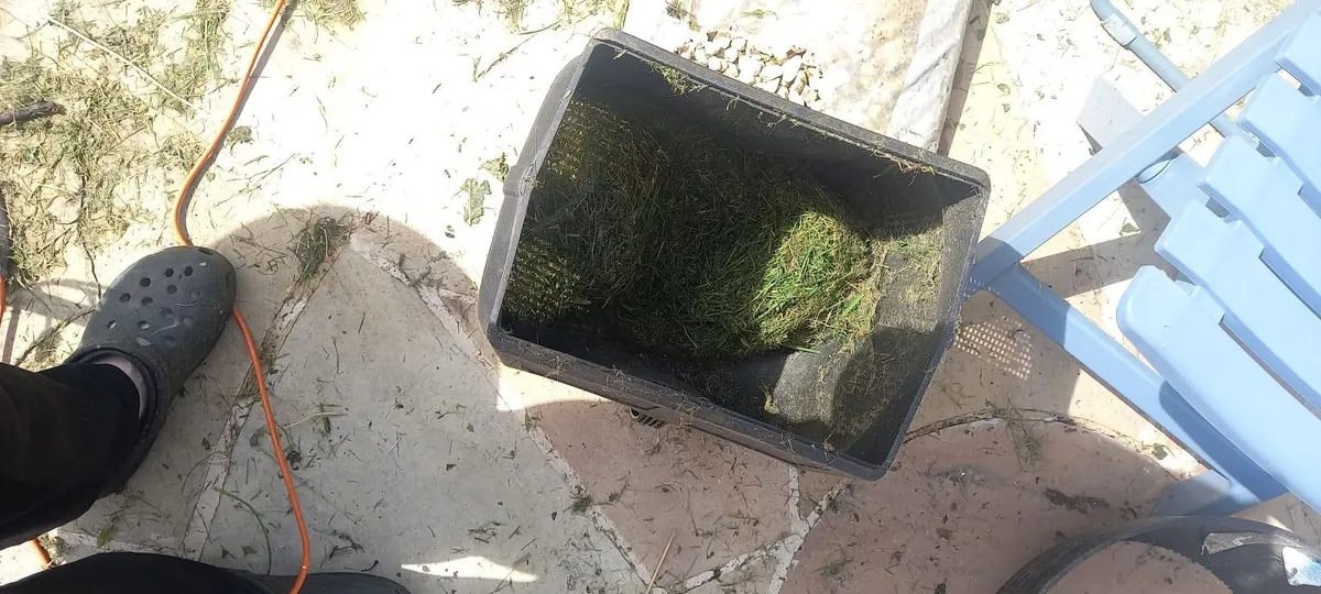 Electric Lawn Mower - Image 2