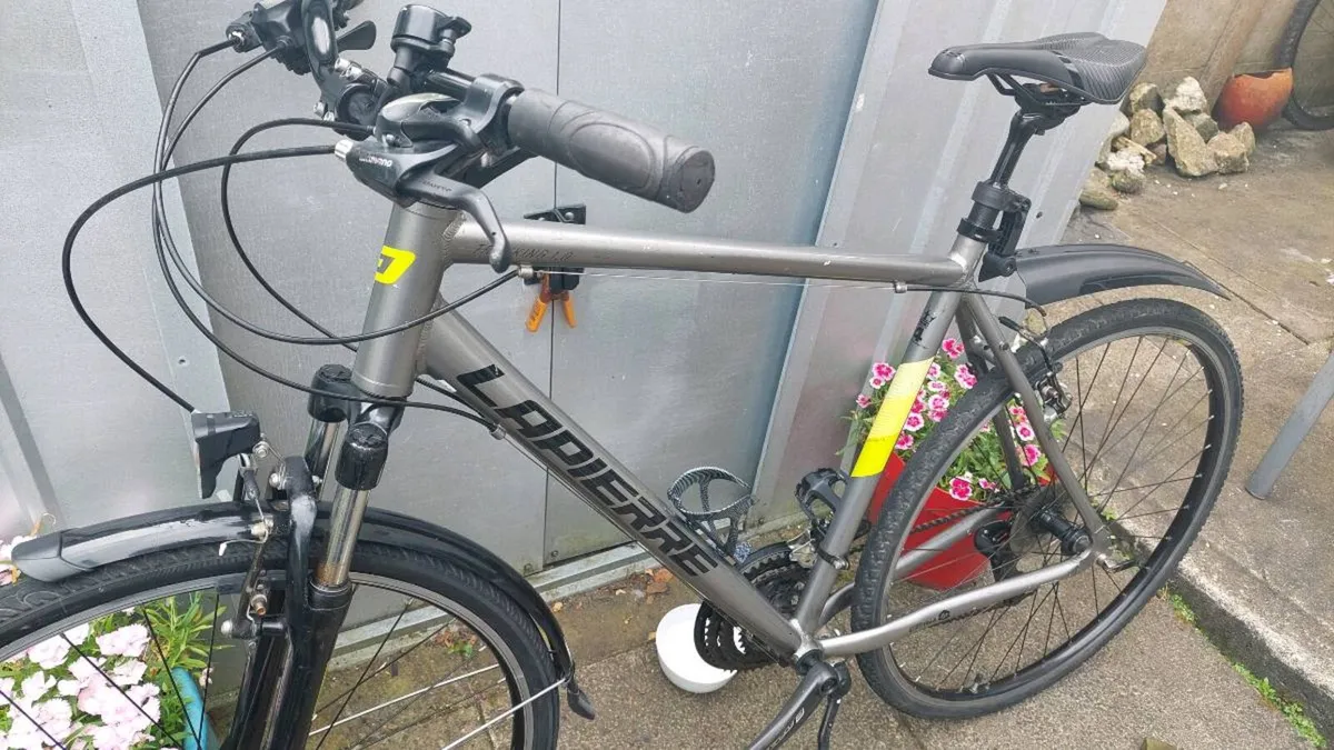 Lappier Trekking Bike XL Frame - Image 2