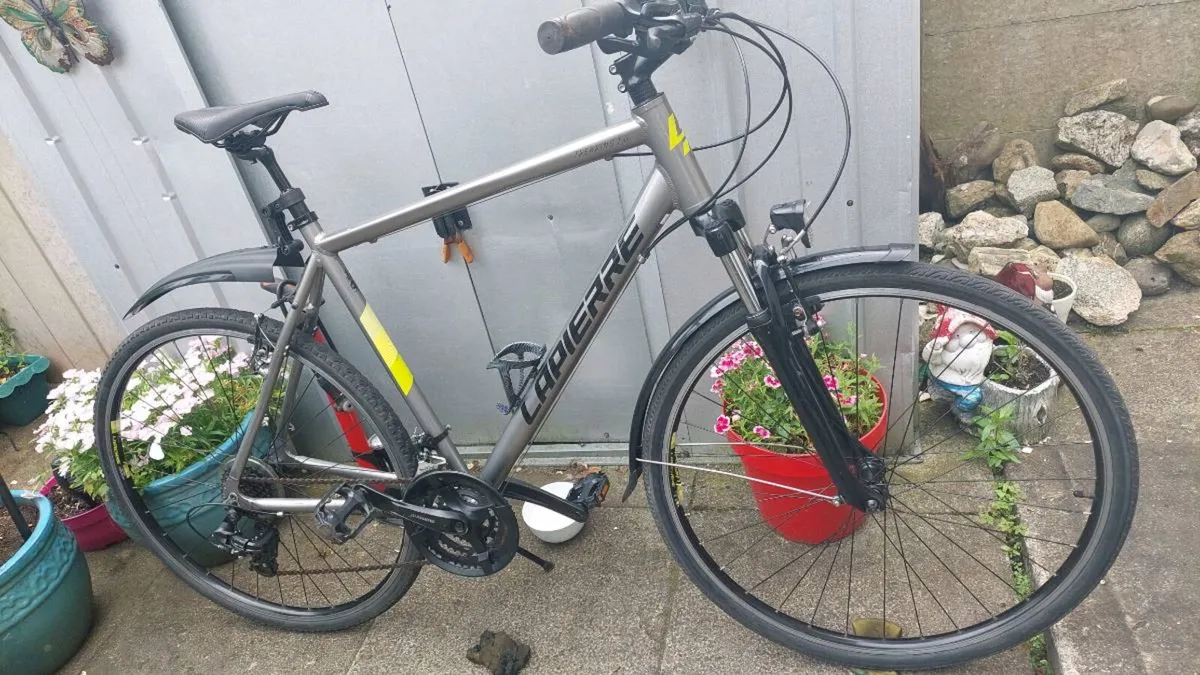 Lappier Trekking Bike XL Frame - Image 3