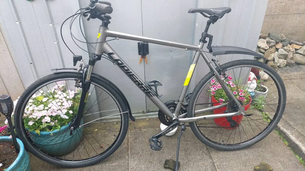 Lappier Trekking Bike XL Frame - Image 4