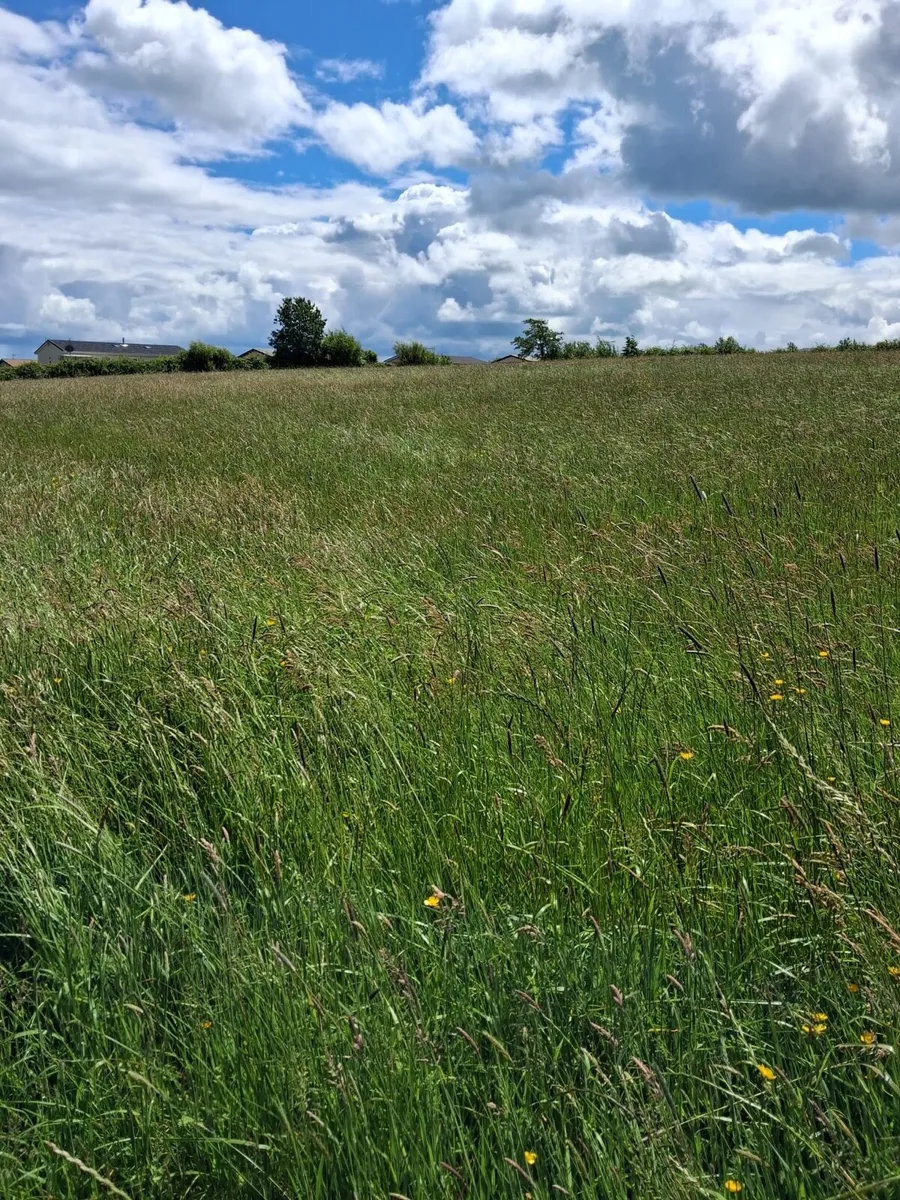 37 Acres Meadow - Image 3