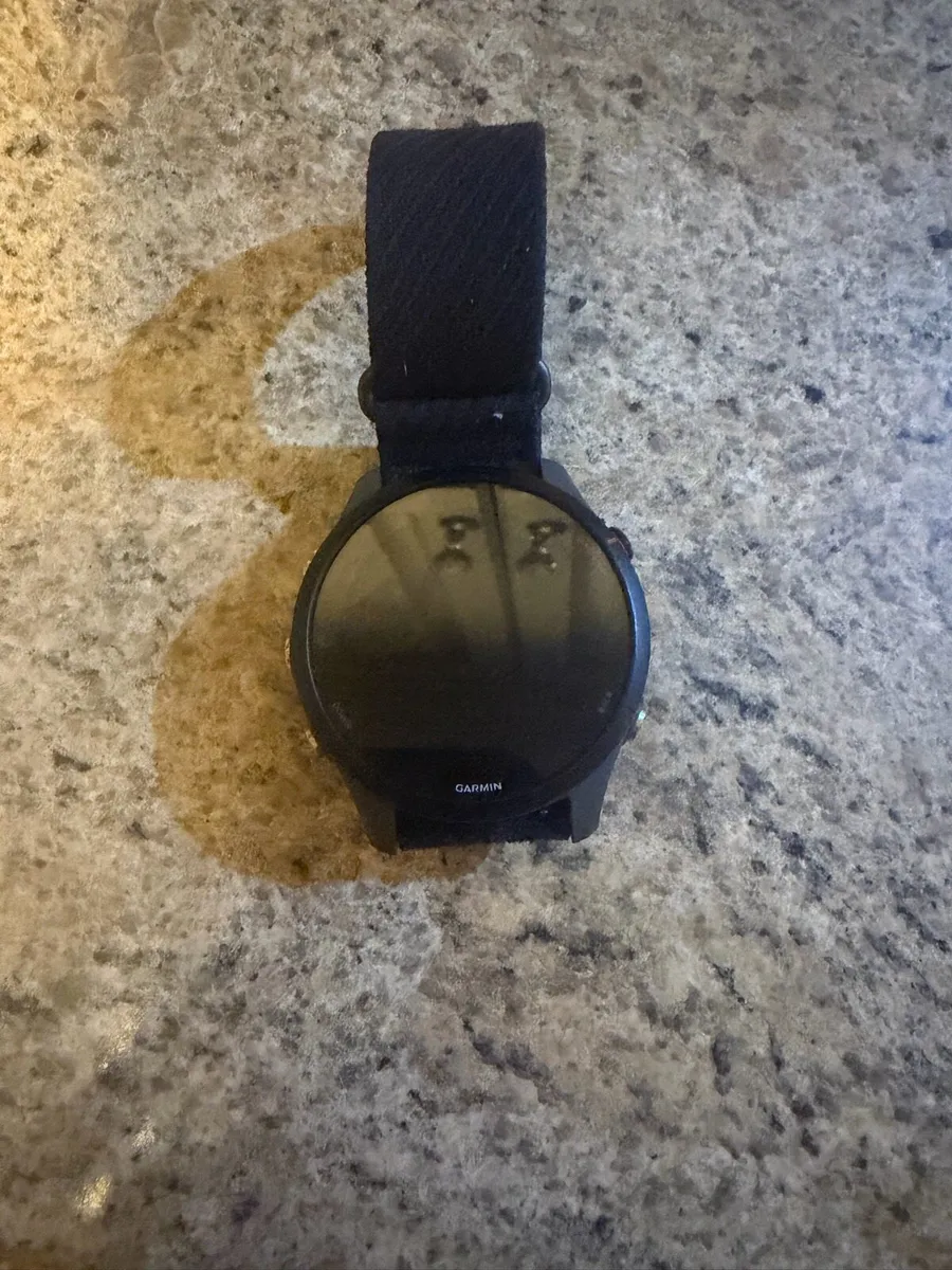 Garmin Forerunner 255 - Image 1