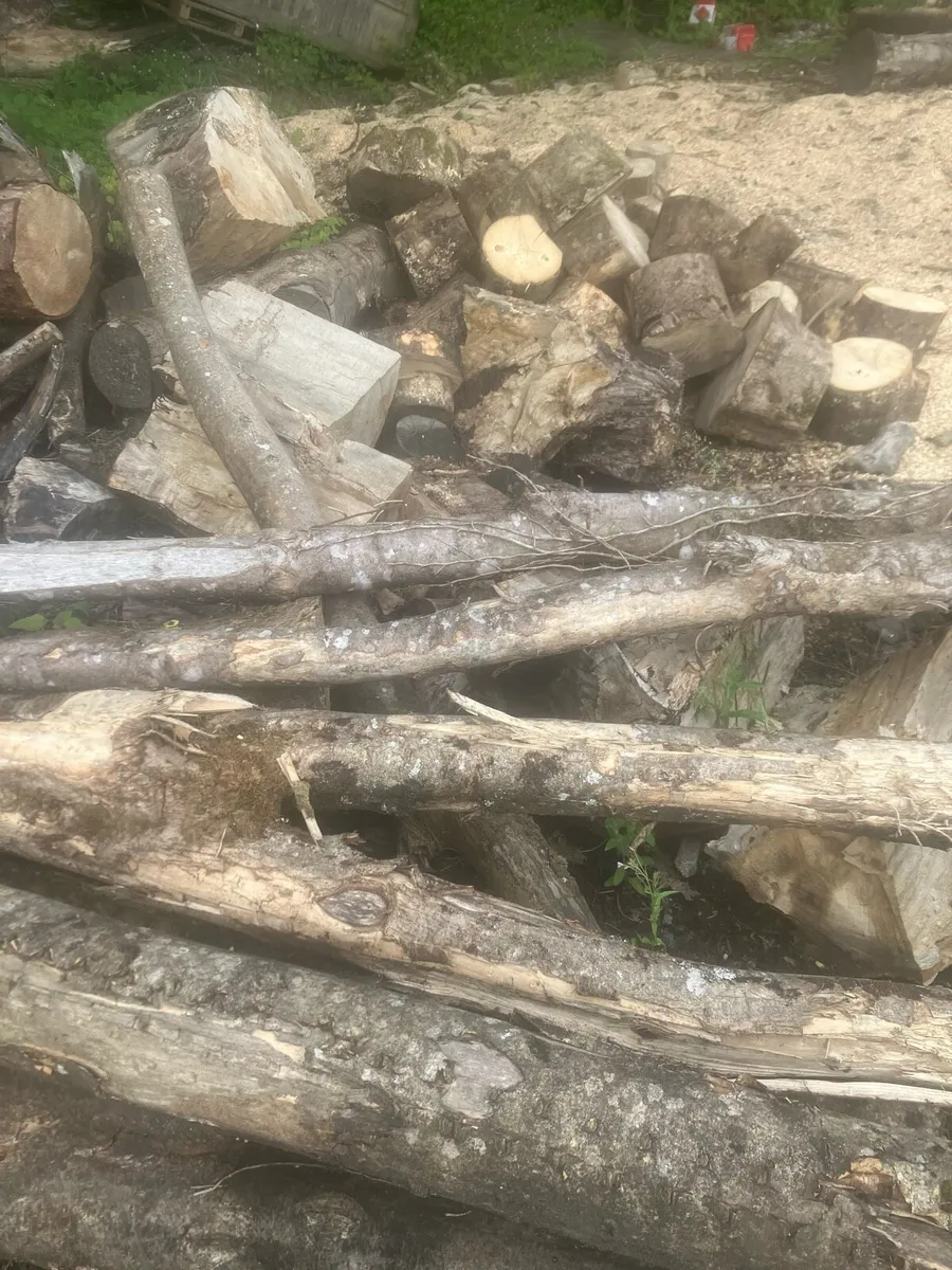 Firewood - Image 2
