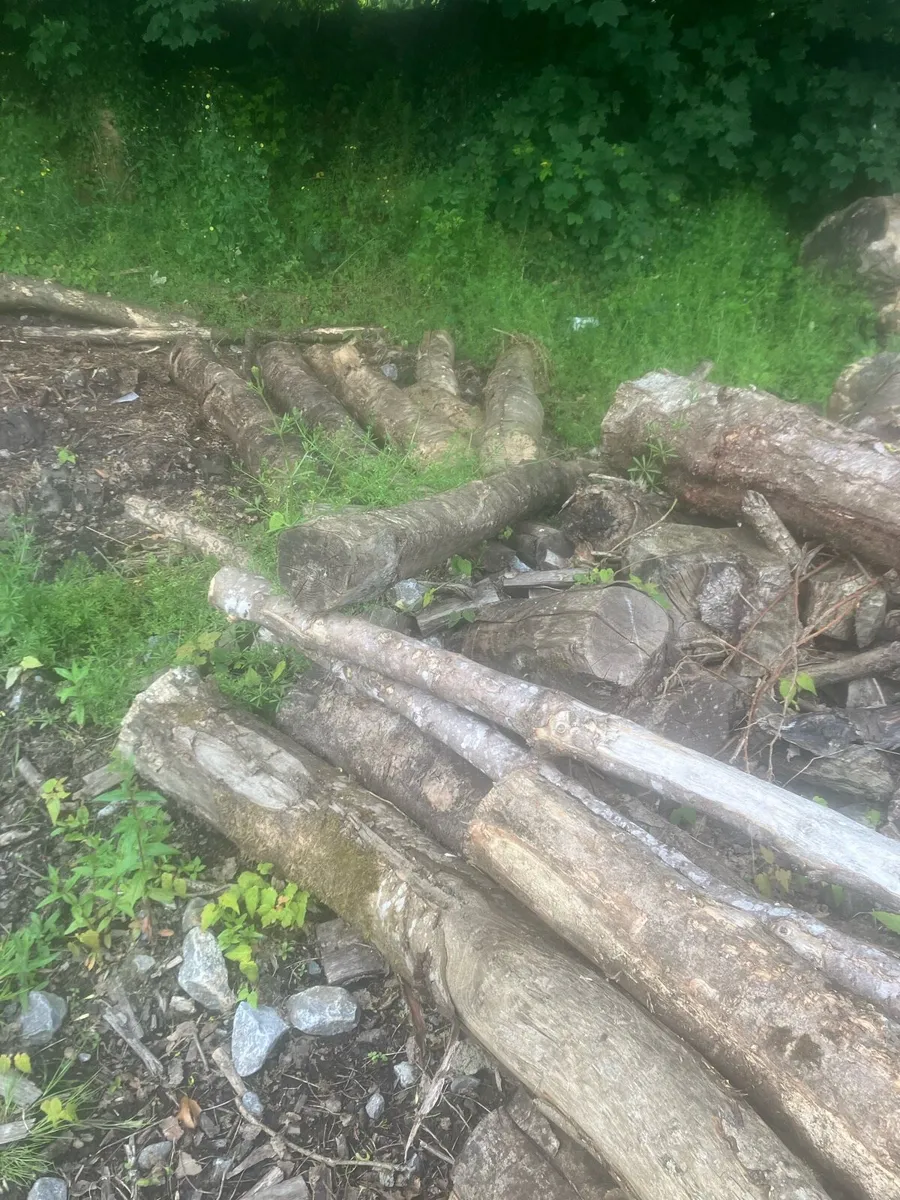 Firewood - Image 4