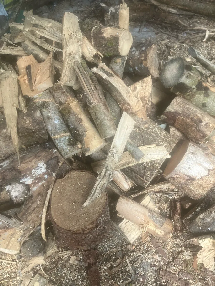 Firewood - Image 1