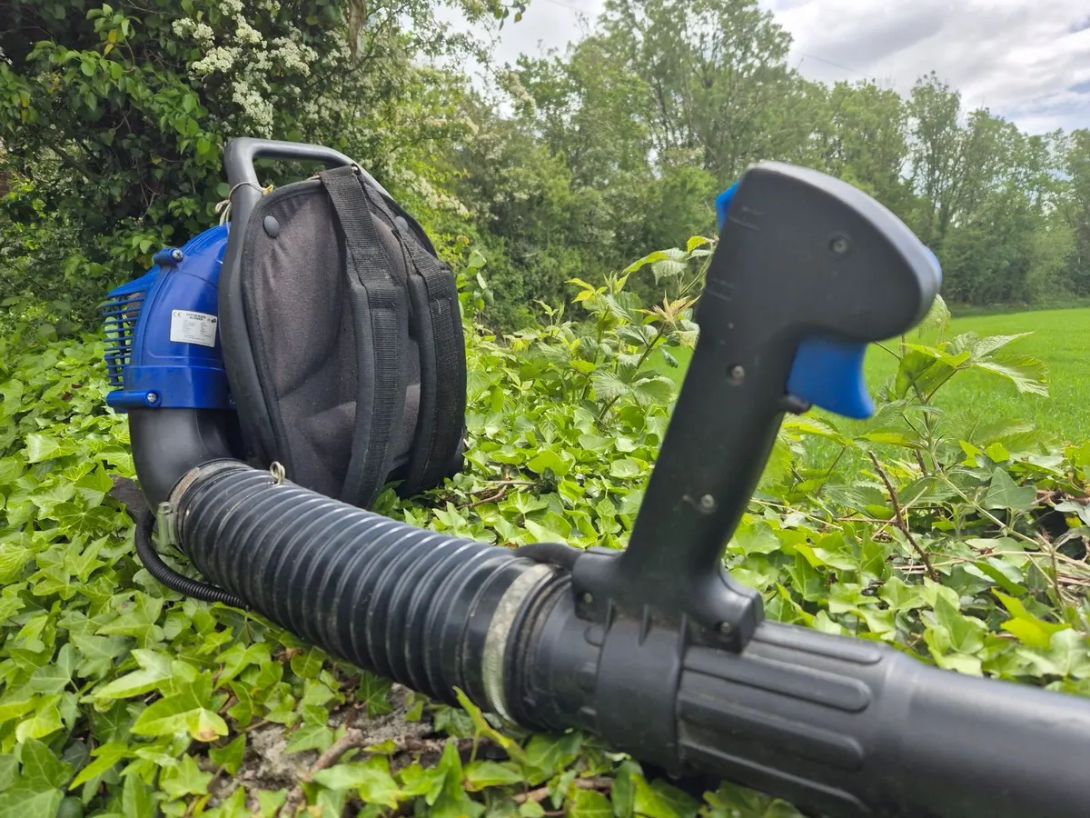 Leaf Blower - Image 3
