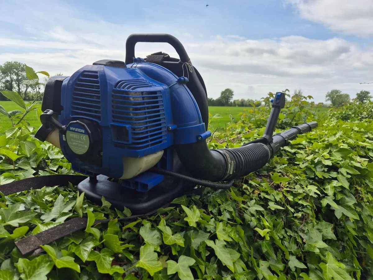 Leaf Blower - Image 1