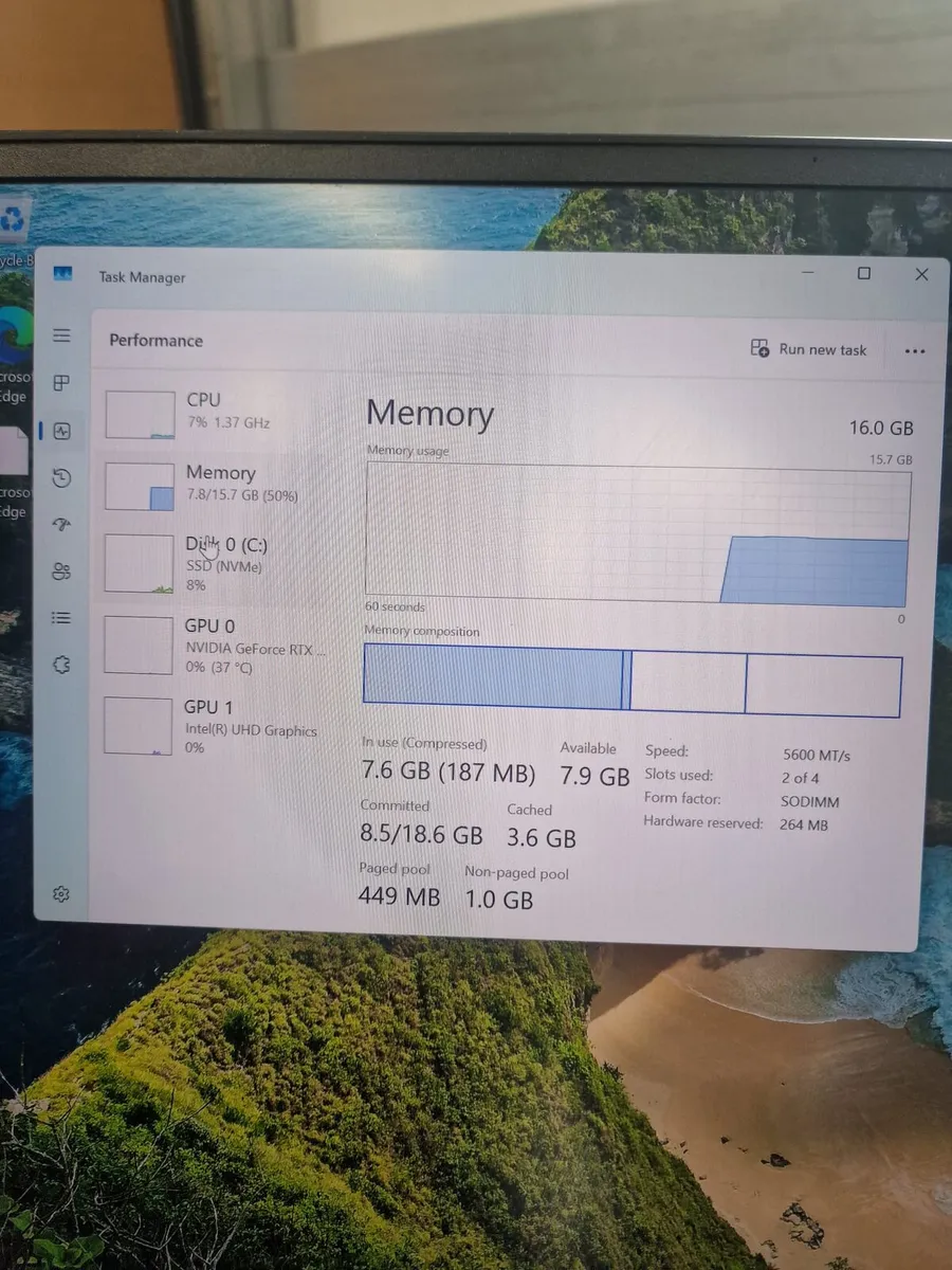 Acer - Image 2