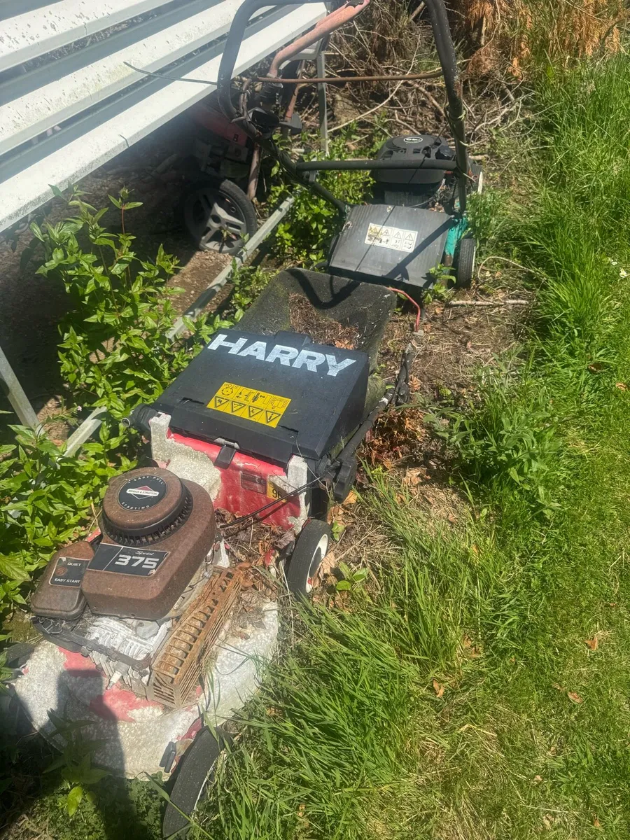 Old strimmers lawn mowers chainsaws for parts - Image 1