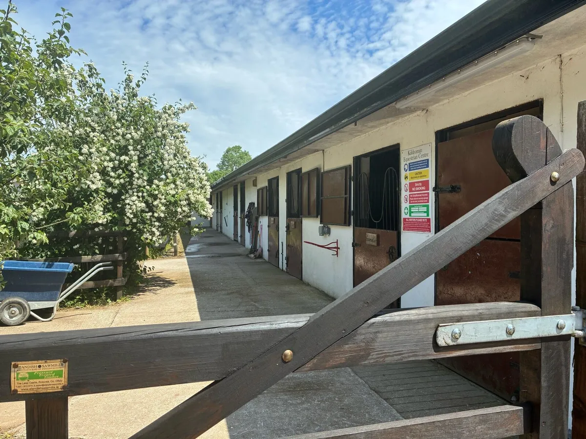 Livery spaces available - Image 1