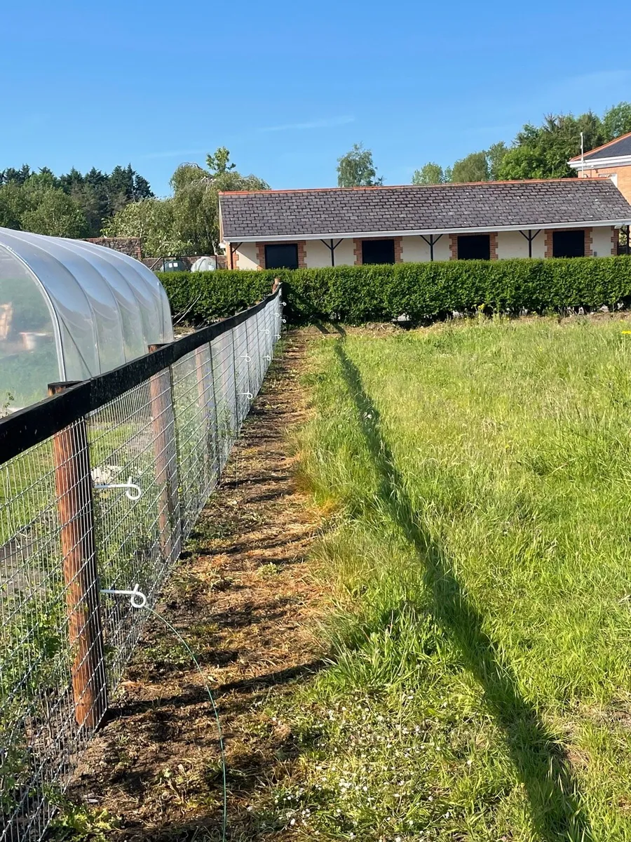 Full Gardens, fencing, lawns, flower beds - Image 3