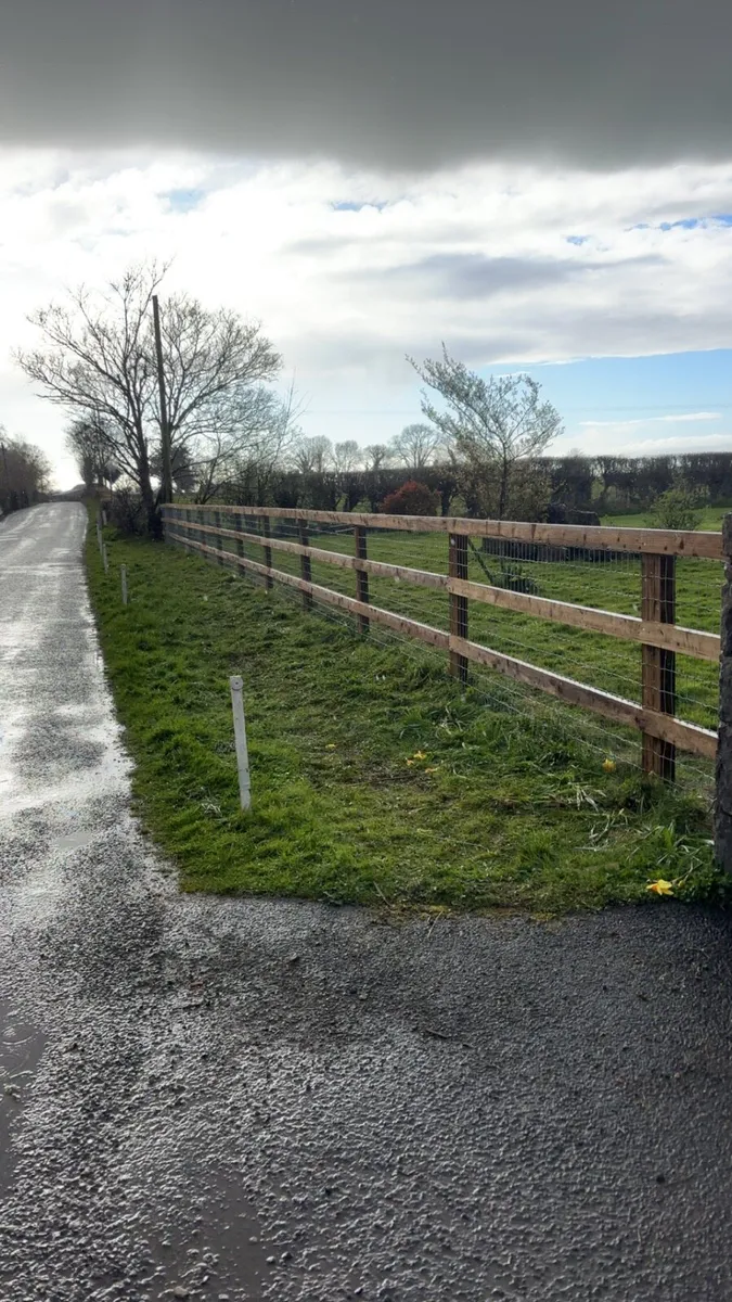 Full Gardens, fencing, lawns, flower beds - Image 4
