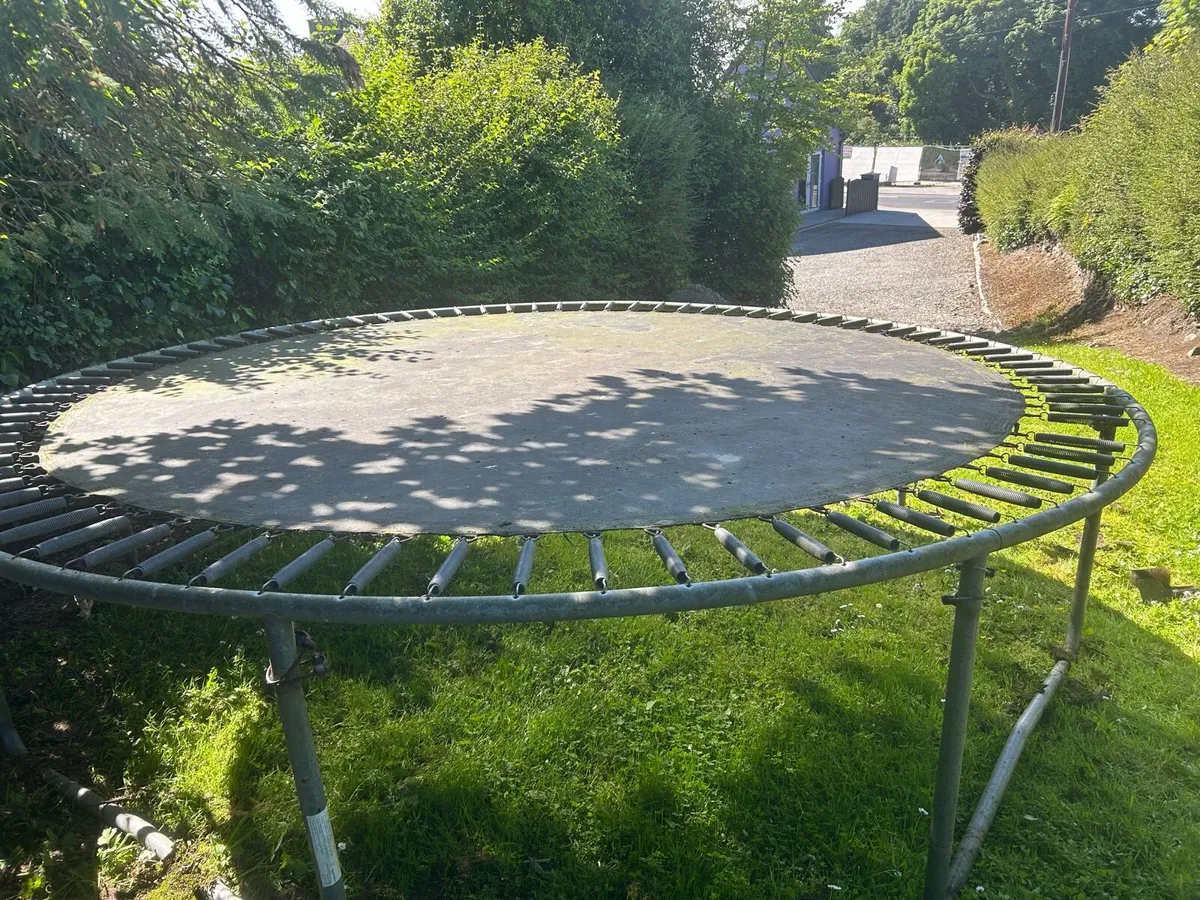 “FREE TO TAKE AWAY” Trampoline - Image 2