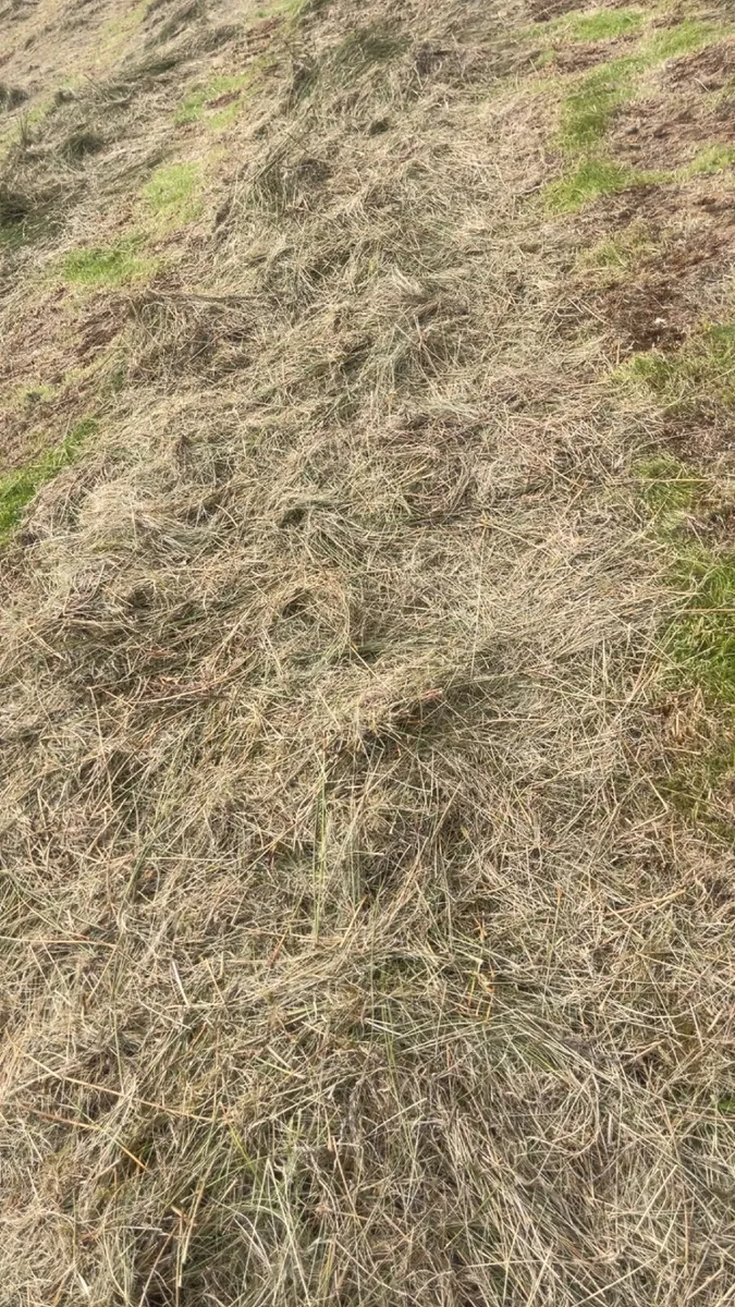 Farming - Image 1