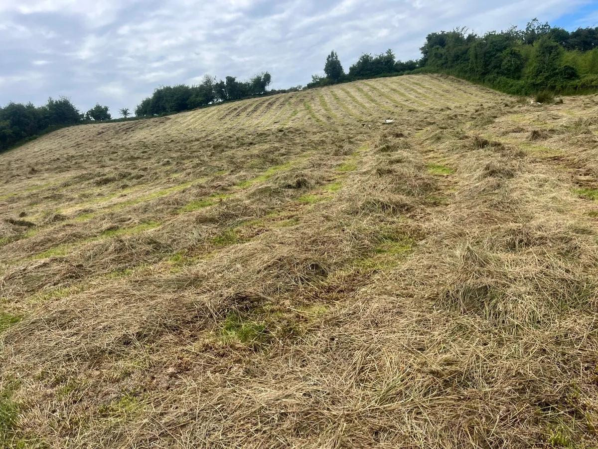 Farming - Image 2