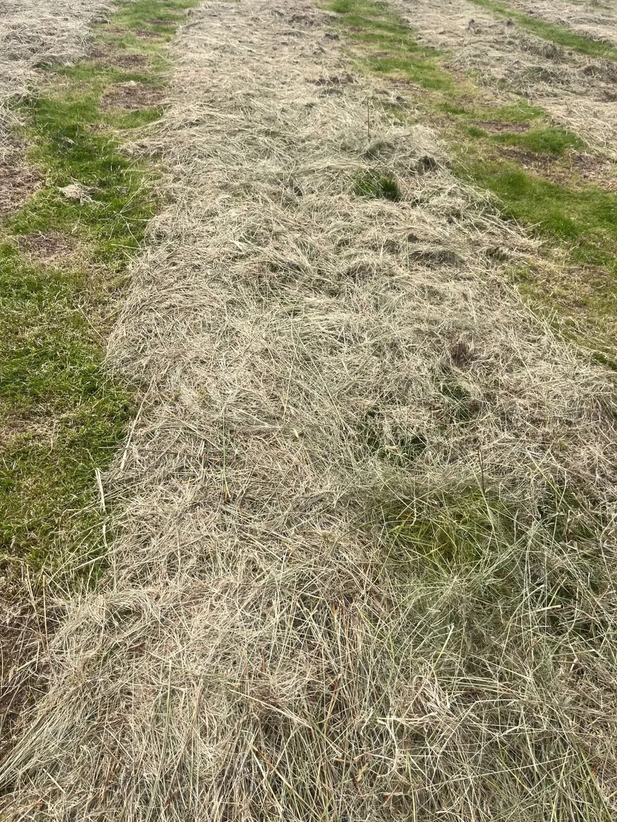 Farming - Image 3