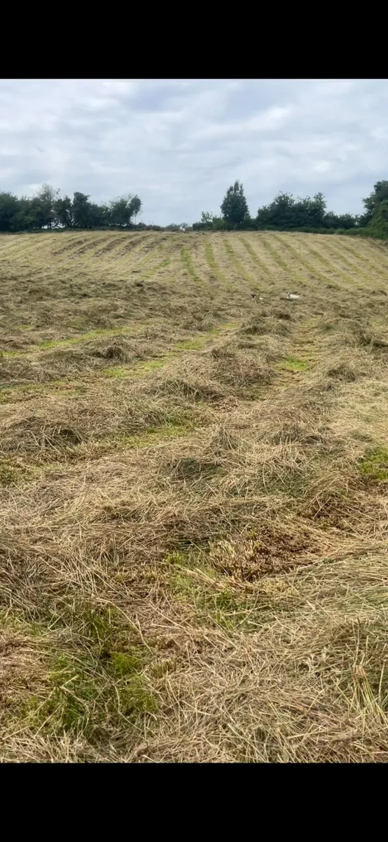 Farming - Image 4