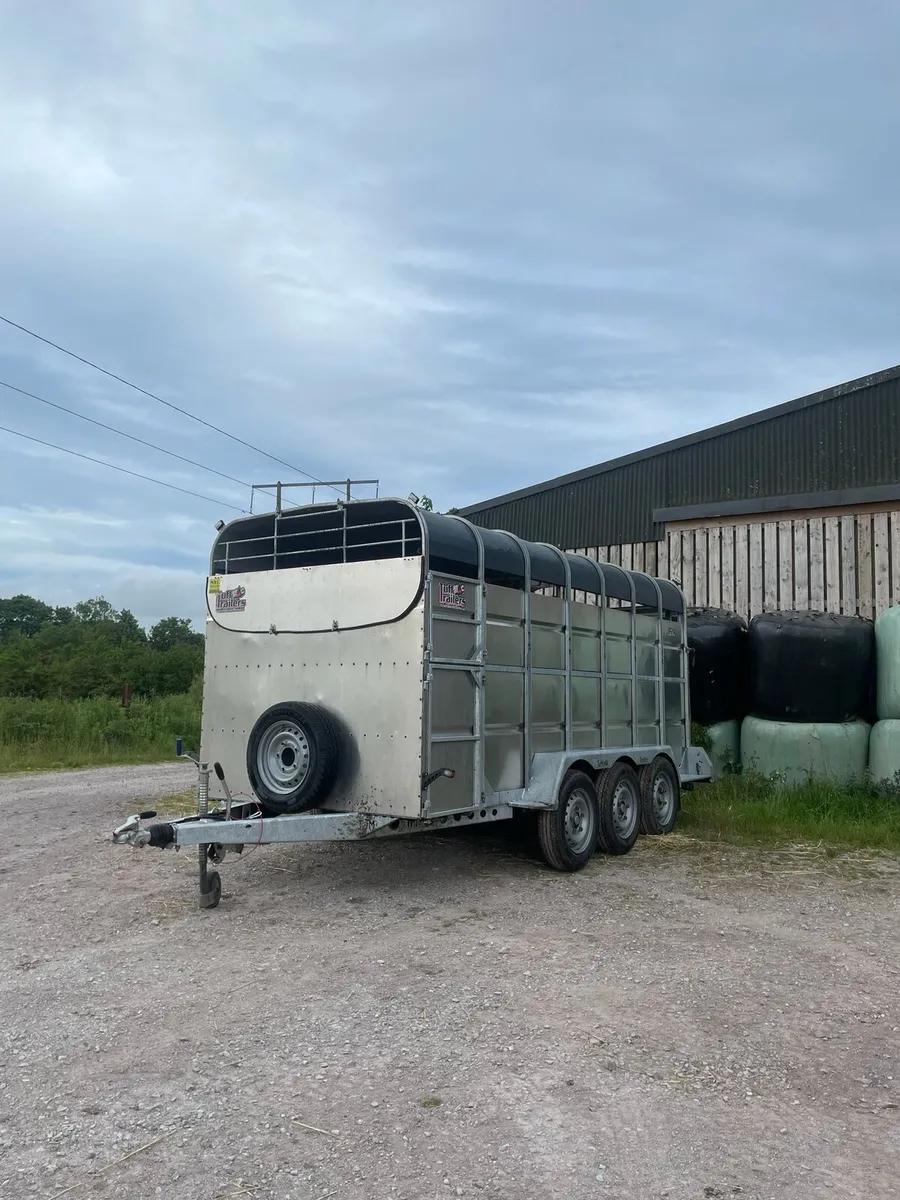 Tuffymac cowbox - Image 1