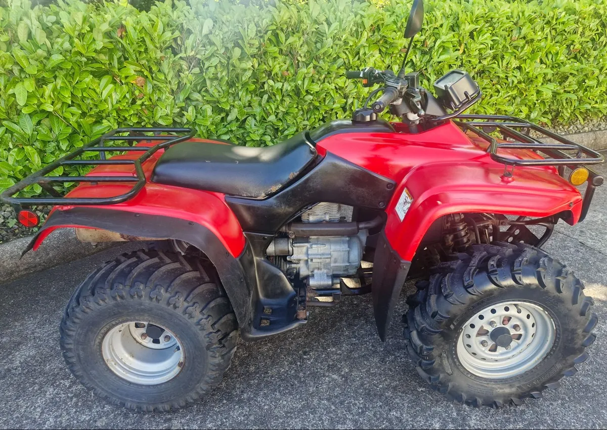 Honda Quad - Image 4