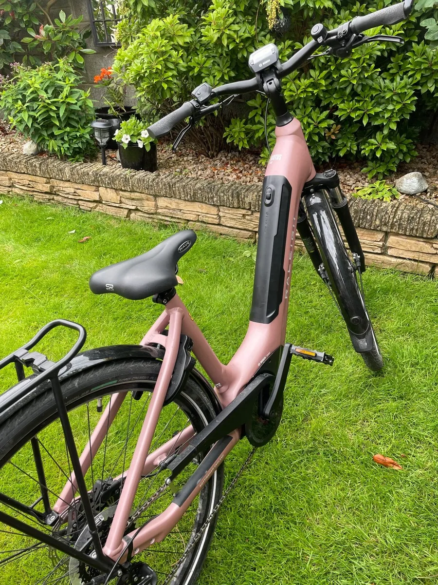 Raleigh Motus E Bike - Image 2