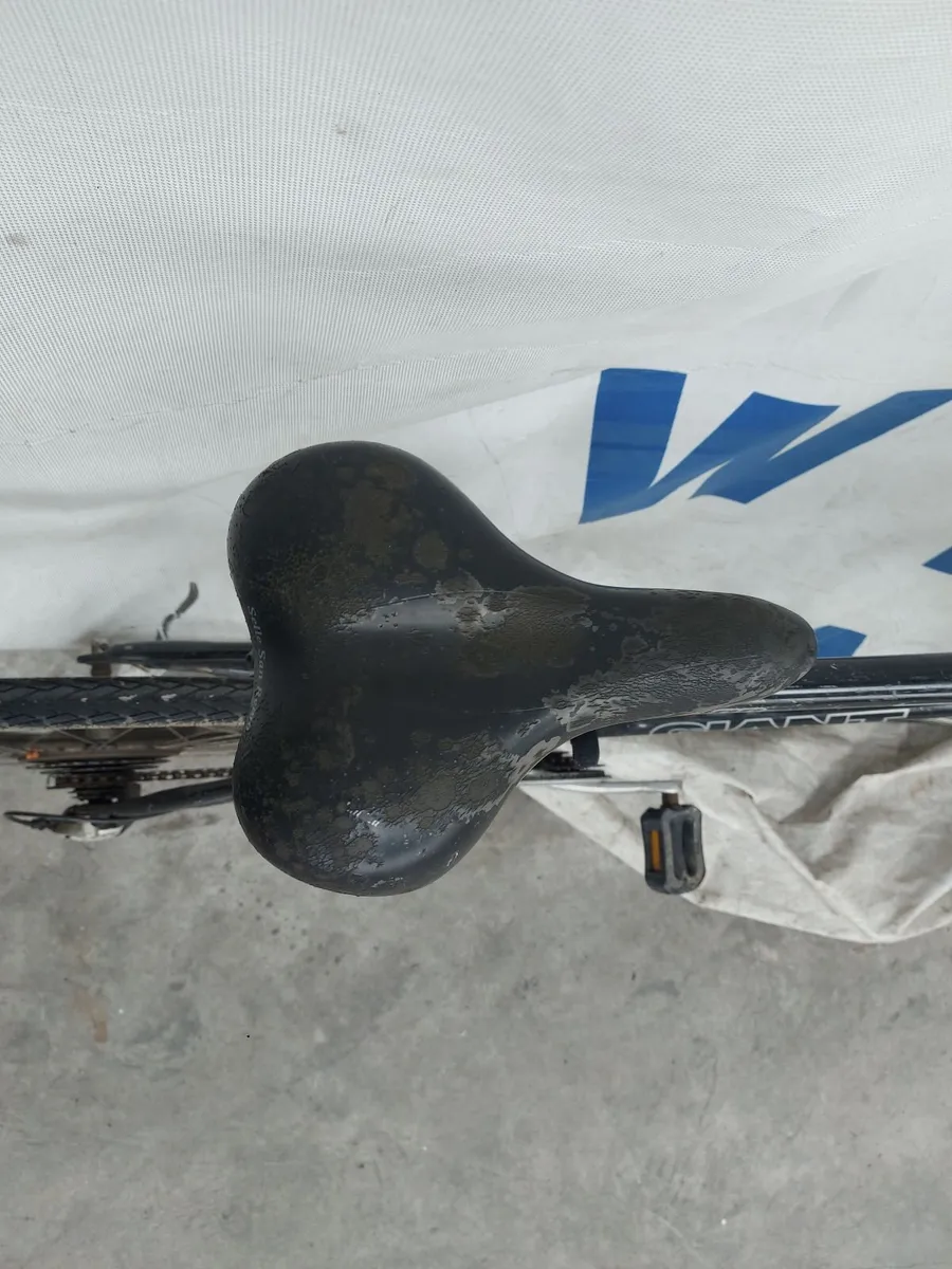 Online Push Bike Auction - Image 1